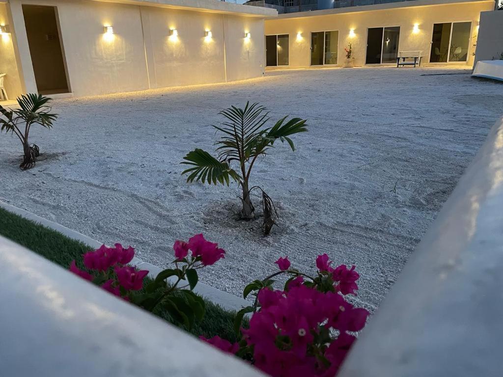 Palomar Villas Río Lagartos Exteriér fotografie